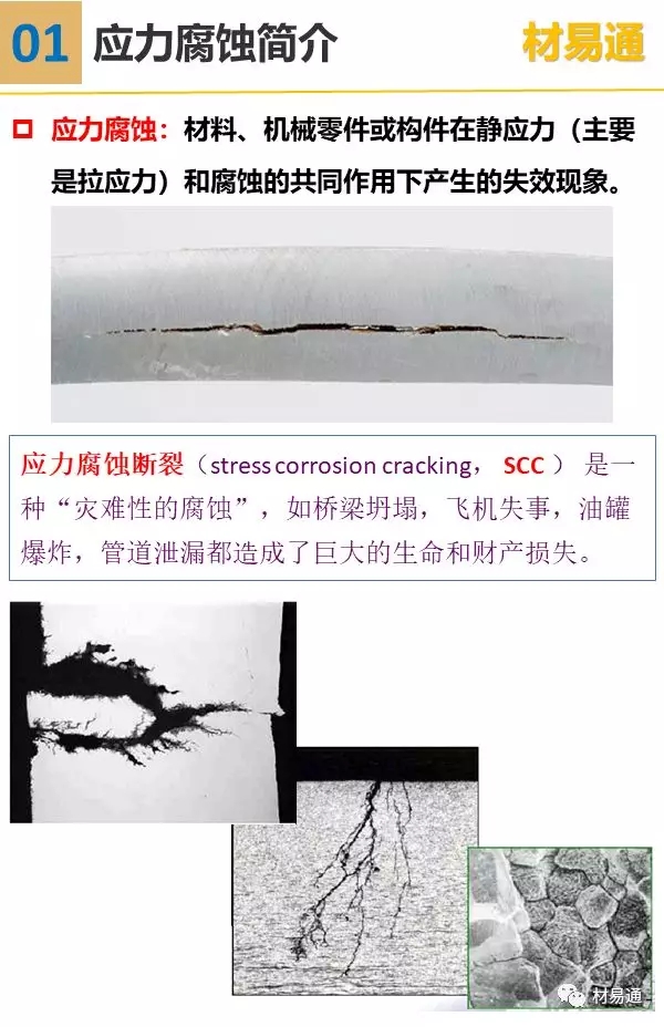 1573185265139393.jpg 640.webp.jpg