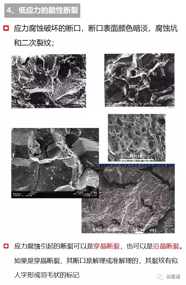 1573195209118589.jpg 640.webp (7).jpg